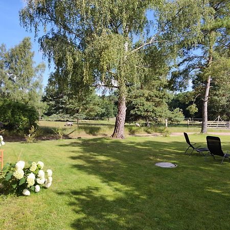 Forsthaus Zartwitzer Huette Lägenhet Rechlin Exteriör bild