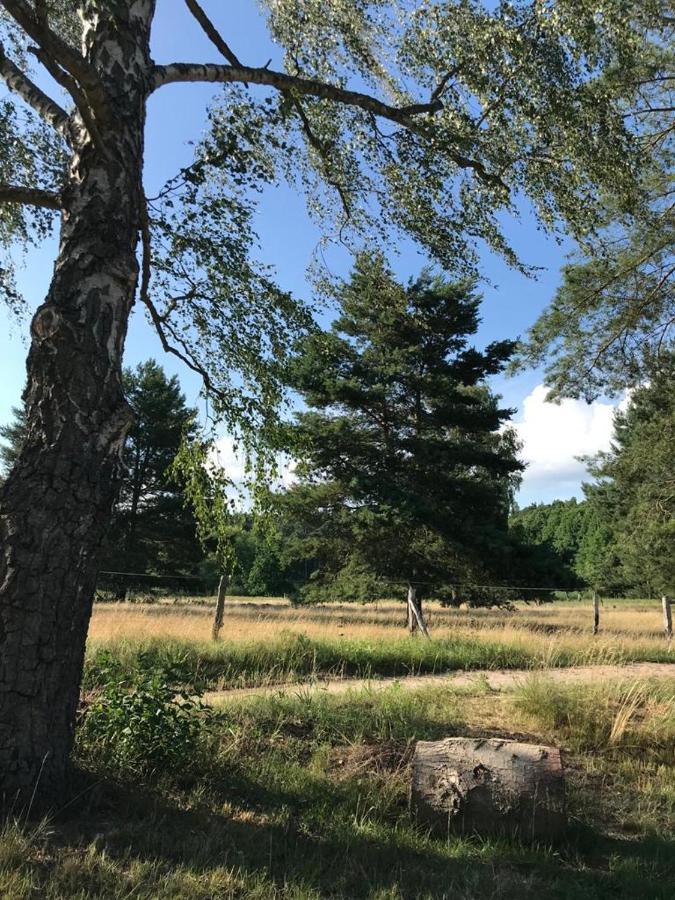 Forsthaus Zartwitzer Huette Lägenhet Rechlin Exteriör bild