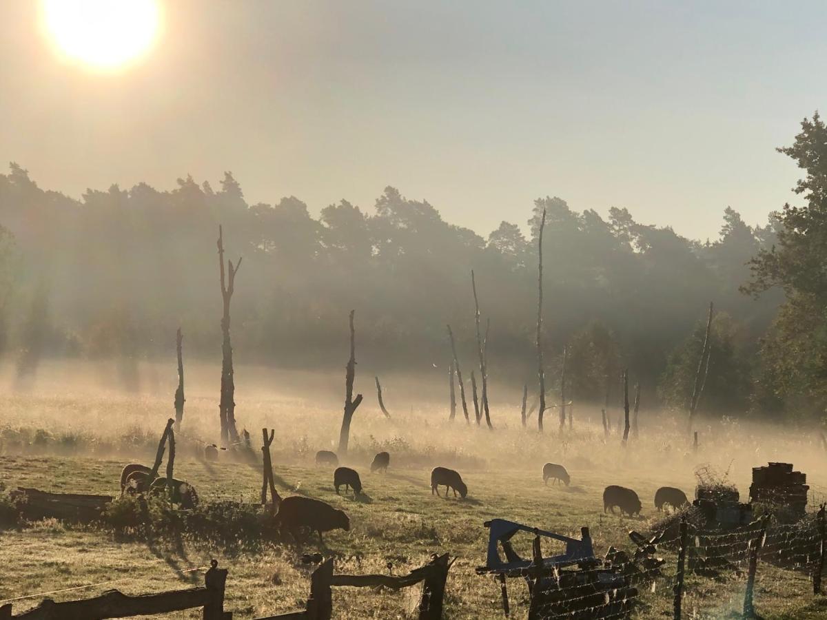 Forsthaus Zartwitzer Huette Lägenhet Rechlin Exteriör bild