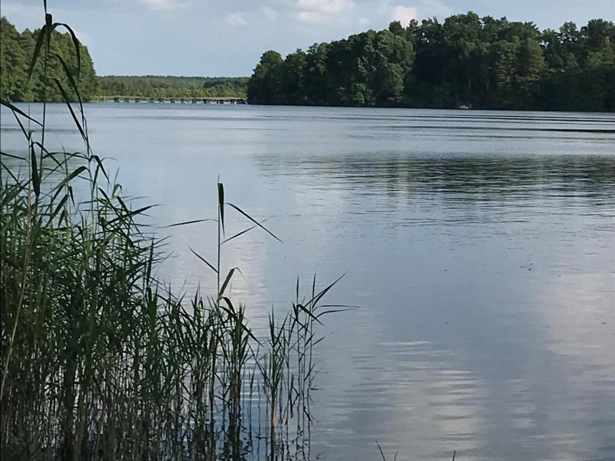 Forsthaus Zartwitzer Huette Lägenhet Rechlin Exteriör bild