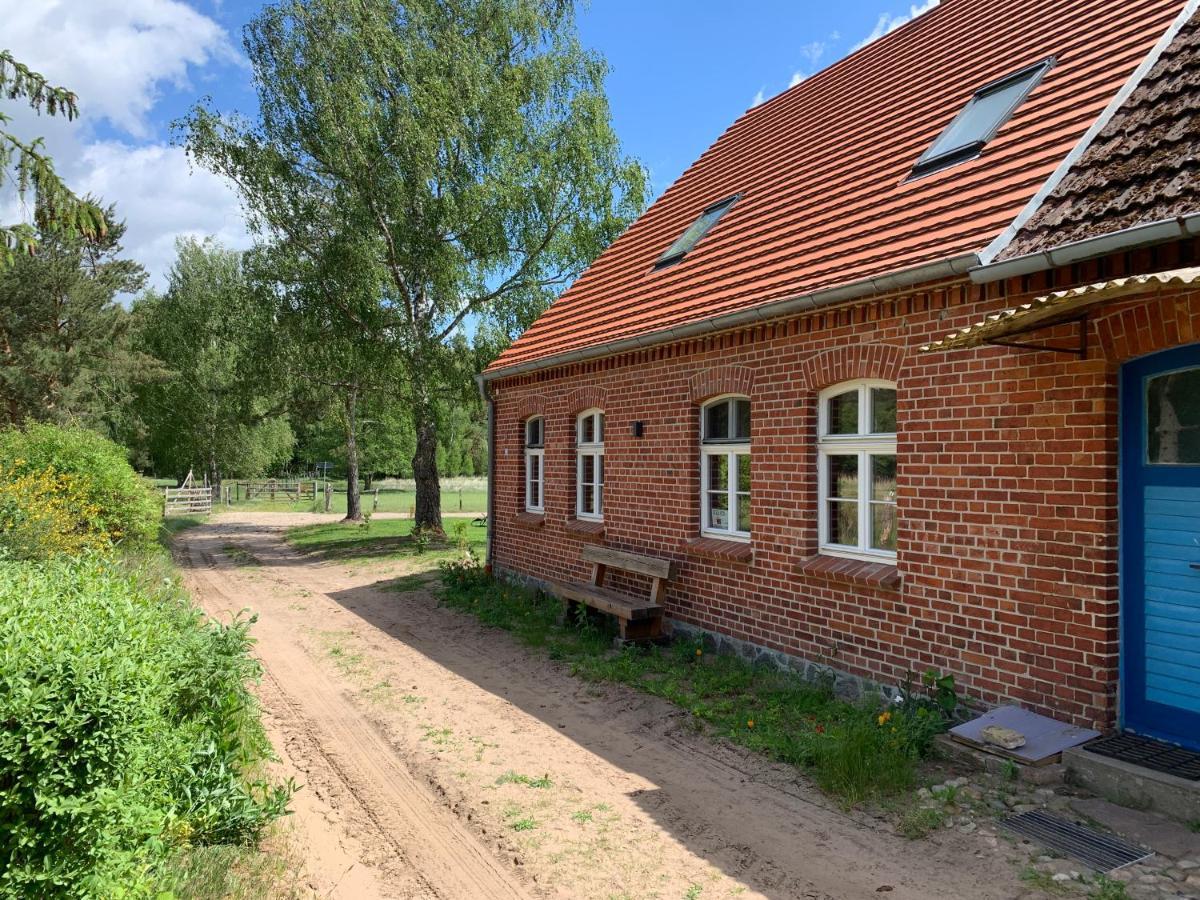 Forsthaus Zartwitzer Huette Lägenhet Rechlin Exteriör bild