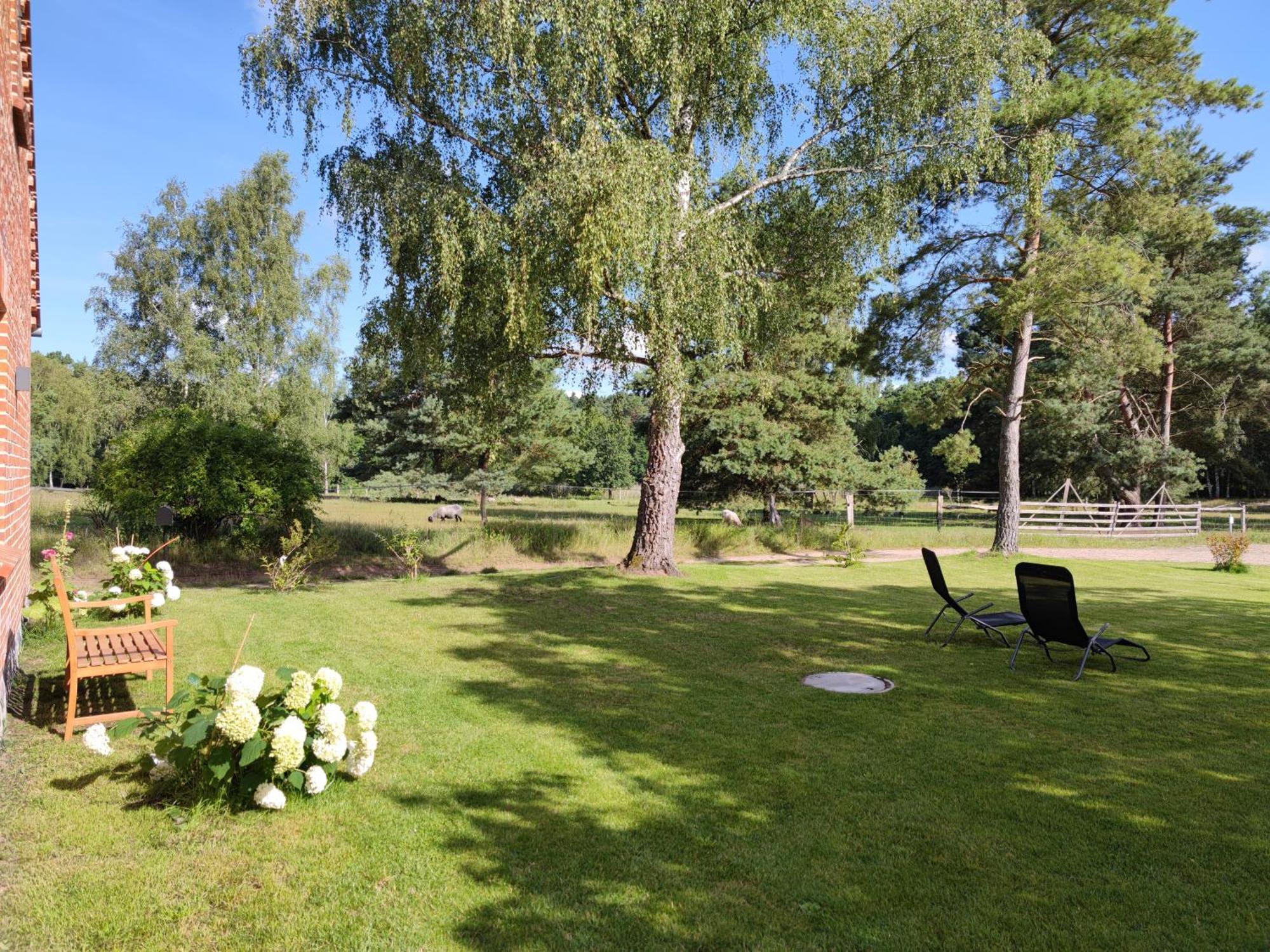 Forsthaus Zartwitzer Huette Lägenhet Rechlin Exteriör bild